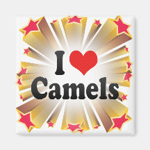 I Love Camels Refrigerator Magnet