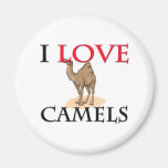 I Love Camels Refrigerator Magnets