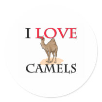 I Love Camels Sticker