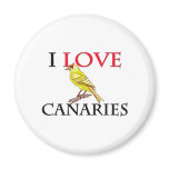 I Love Canaries magnets
