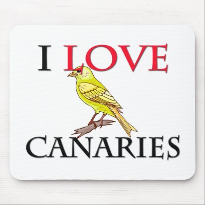 I Love Canaries Mouse Pad by tshirtshirts