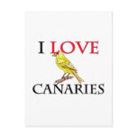 I Love Canaries Postcard