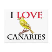 I Love Canaries Postcard