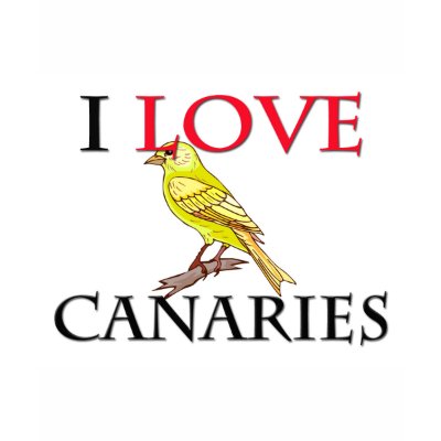 I Love Canaries T Shirts by tshirtshirts