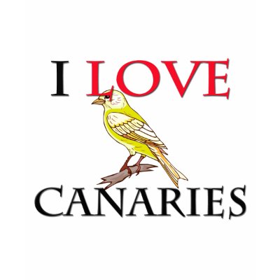 I Love Canaries T-shirt by tshirtshirts