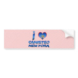 I love Canisteo, New York bumper stickers