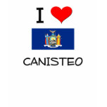 I Love Canisteo New York t-shirts
