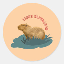 I love capybaras stickers