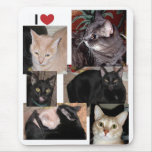 I LOVE CATS  ASSORTED CATS MOUSEPADS
