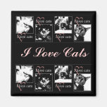 I Love Cats Magnet
