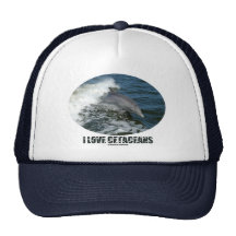 I Love Cetaceans (Bottlenose Dolphin Breaching) Hat