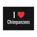 I love Chimpanzees postcards