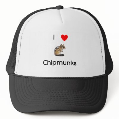 Chipmunk In Hat