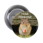 I love chipmunks! pins