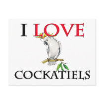 I Love Cockatiels Post Card