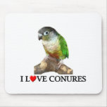 I love conures mousepads