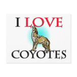 I Love Coyotes postcards