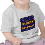 I love delaware fire and flames t-shirt