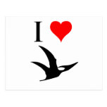 I Love Dinosaurs - Pterodactyl Post Cards
