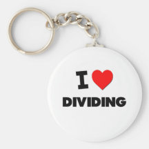 I Love Dividing Keychains