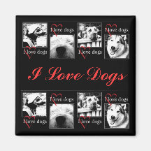 I Love Dogs Magnet