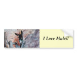 I Love Donkeys! bumper stickers