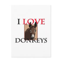 I Love Donkeys postcards