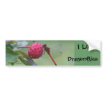 I Love Dragonflies Nature Bumper Sticker