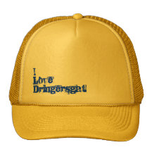 I Love Dringersgat Cap Trucker Petten