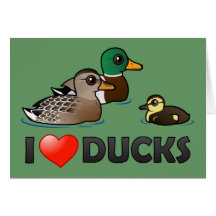 I Love Ducks Greeting Card