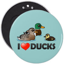 I Love Ducks Pinback Buttons