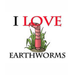 I Love Earthworms t-shirts