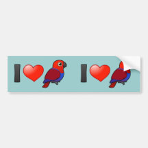 I Love Eclectus Parrots (female) Bumper Sticker