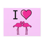 I Love Flamingos Postcard