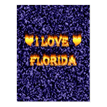 I love florida fire and flames postcard