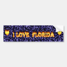 I love florida with blue marble background bumper sticker