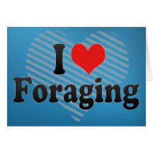 I Love Foraging Cards