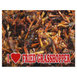 I Love Fried Grasshopper flyers