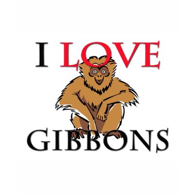 I Love Gibbons Tshirt by tshirtshirts