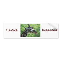 I Love Giraffes