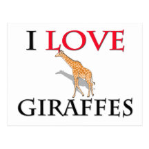 I Love Giraffes Post Card