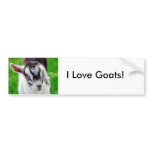 I Love Goats! Bumper Sticker