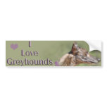 I Love Greyhounds Bumper Sticker bumper stickers