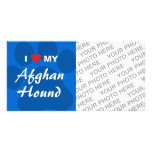I Love (Heart) My Afghan Hound