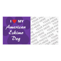 I Love (Heart) My American Eskimo Dog