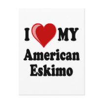 I Love (Heart) My American Eskimo Dog Post Card