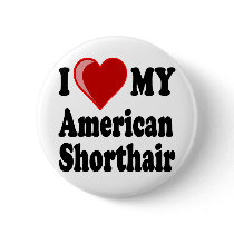 I Love (Heart) My American Shorthair Cat Pinback Buttons