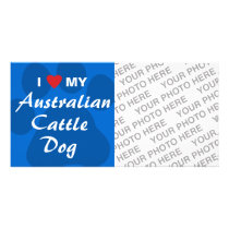 I Love (Heart) My Australian Cattle Dog