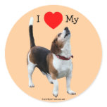 I Love Heart My Beagle Dog Photo Sticker Label