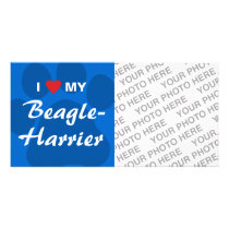 I Love (Heart) My Beagle-Harrier